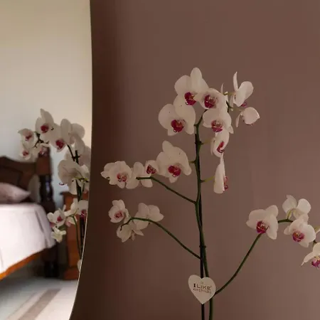 Fotini - Modern 2br With Pool & Balcony Near The *